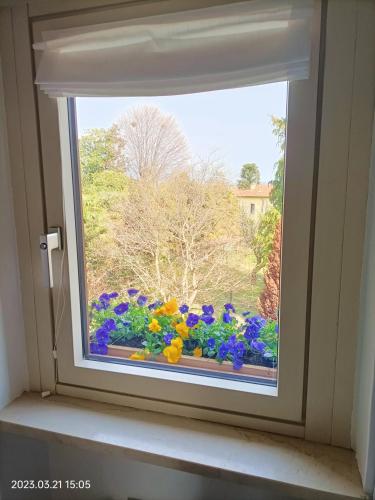 a window with a bunch of flowers in a window sill at Blue Dream in Ispra