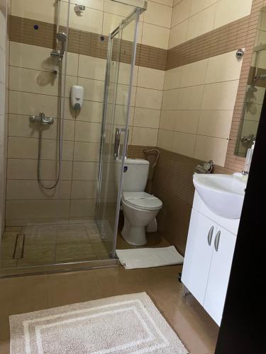 a bathroom with a shower and a toilet and a sink at Casa Veche in Sibiu