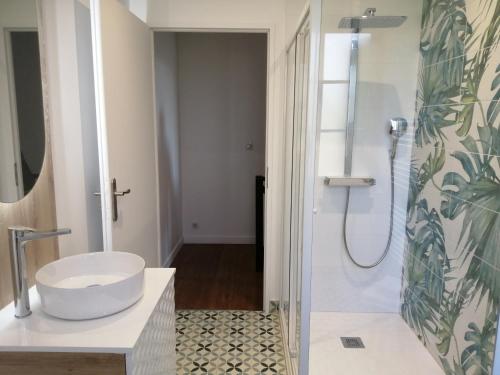 a bathroom with a sink and a shower at Bedat Coté jardin in Labatut