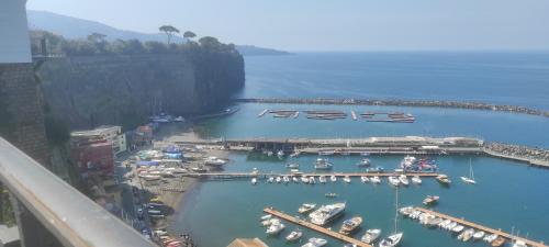 una vista aerea di un porto turistico con barche in acqua di Corte Aragonese a Piano di Sorrento