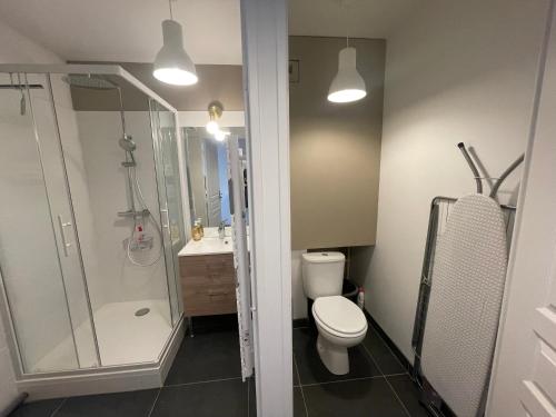 a bathroom with a toilet and a shower and a sink at ALP Chartres - Grand studio avec terrasse et parking in Chartres
