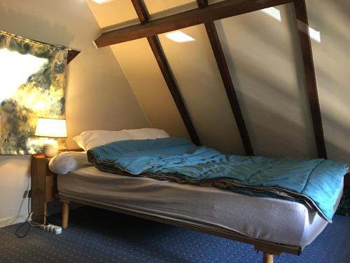 a bed in a room with a canopy bed at Chalet lac de Payolle in Ancizan