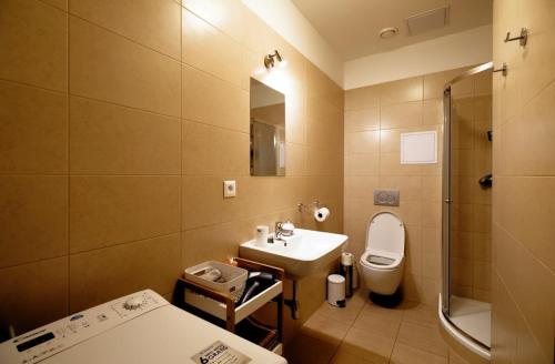 a bathroom with a sink and a toilet and a shower at Cosy studio, 15min to Old Centre, Self-check in, Free Wifi, Welcome drink! in Prague