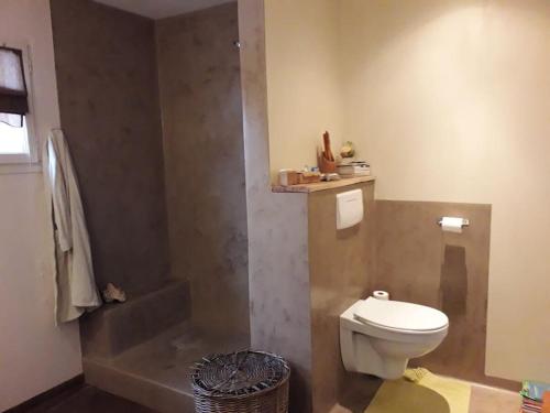 ein Badezimmer mit einem WC, einem Waschbecken und einer Badewanne in der Unterkunft Ahoma, séjour bien-être, calme et sérénité. in Labruguière