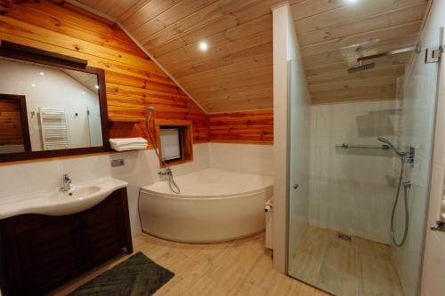 a bathroom with a tub and a sink and a shower at Waterloo Village in Pidhorodne