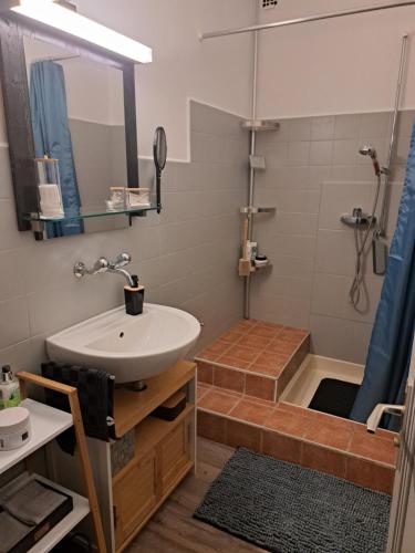 a bathroom with a sink and a shower at Chambre d'hôte du Mont D'or in Vallorbe