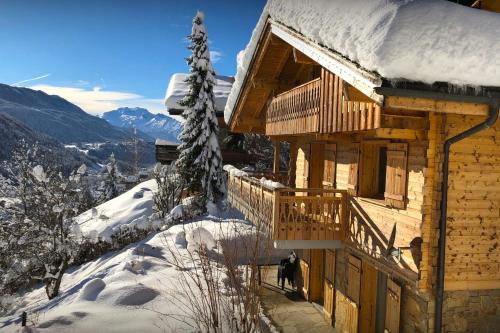 a log cabin in the snow with a tree at Chalet Aravista - OVO Network in Le Grand-Bornand
