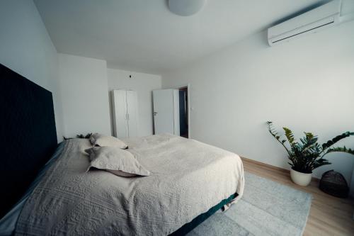 a bedroom with a bed and a potted plant at TIFFANY Apartment Hotel in Bratislava