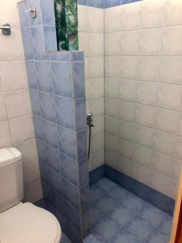 a bathroom with a shower with a toilet at Two bedroom apartment in Historical area in Thessaloniki