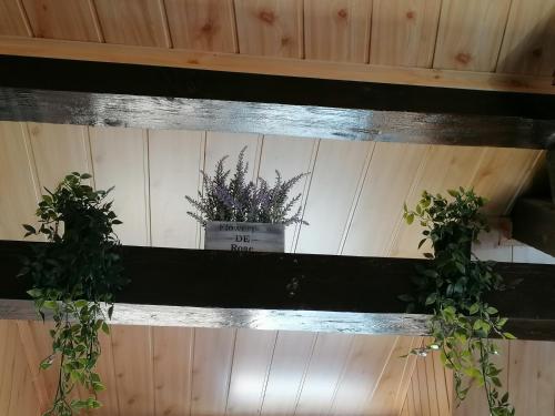 Φωτογραφία από το άλμπουμ του Cozy attic studio στο Μπρασόβ