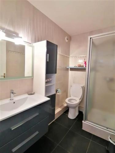 une salle de bain avec toilettes, lavabo et douche dans l'établissement Palais Royal, plages à pied, centre St Raphael, à Saint-Raphaël