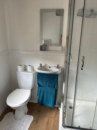 a bathroom with a toilet and a sink and a shower at Village Rooms in Marton