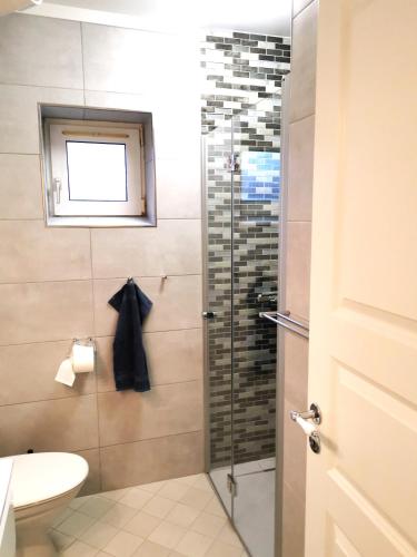 a bathroom with a shower with a toilet and a sink at Delicius apartment near the Beach,Metro, Airport in Copenhagen