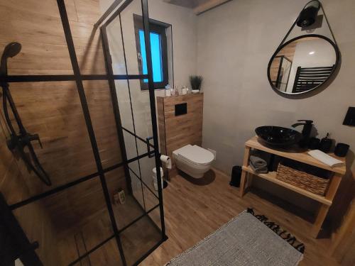 een badkamer met een toilet en een glazen douchedeur bij Pod Grapą in Zubrzyca Górna