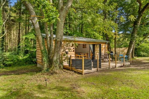 a log cabin in the woods with a tree at Ivy Cottage Holiday Cabins in Southampton