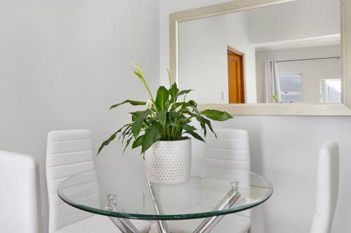 a glass table with a plant on it in a bathroom at Mount Bay in Hout Bay