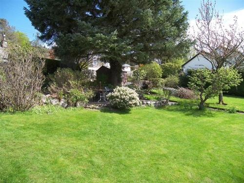 a yard with a tree and a table in the grass at The Bridge in Kippford