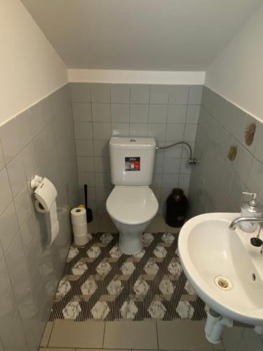 Koupelna v ubytování Apartmán v Jedovnicích u rybníka Olšovce