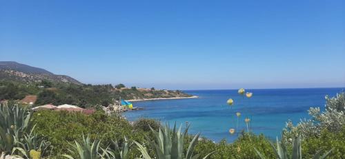 a view of the ocean from a hill with plants at Latchi Aria villa in Neo Chorio