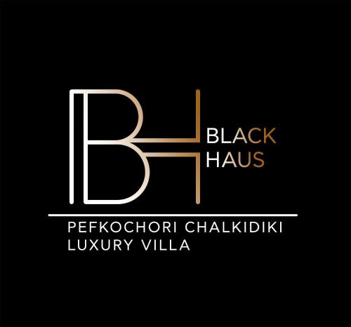 ペフコホリにあるBLACKHAUS PEFKOCHORI CHALKIDIKI Luxury VILLAのギャラリーの写真