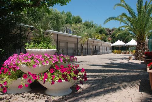 a row of white pots filled with pink flowers at Family Village Fontana Marina in Campofilone