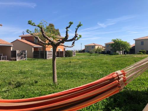 - un hamac à côté d'un arbre dans une cour dans l'établissement Maison Le Hamac du Golf, à Fabrègues