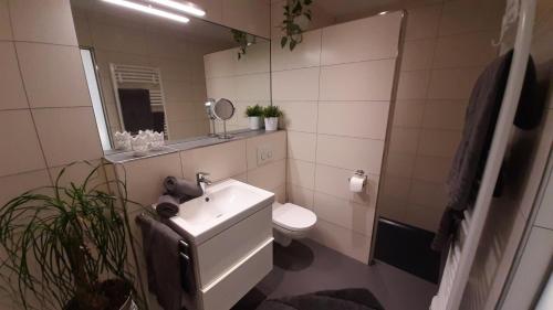 a bathroom with a sink and a toilet and a mirror at Ferienwohnung SaarWeinWald 
