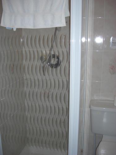 a bathroom with a shower with a toilet at Lynebank House Hotel, Bed & Breakfast in Carlisle