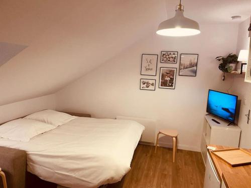 a bedroom with a bed and a desk with a television at Le pti ‘ P2000 in Bolquere Pyrenees 2000