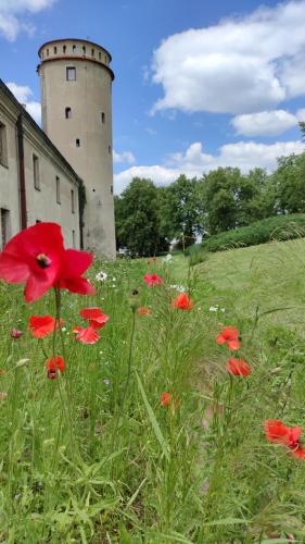 Fotografie z fotogalerie ubytování Hotel Podklasztorze v destinaci Sulejów