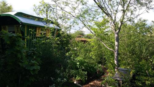 a green train in the middle of a forest at Gypsy Caravan at Alde Garden in Saxmundham