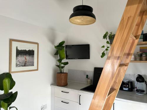 a living room with a tv and some plants at Tiny guesthouse with cozy mezzanine sleeping nook in Swinderby