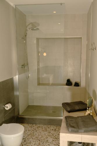 a bathroom with a shower with a toilet and a sink at MammaDada charm rooms in Bari