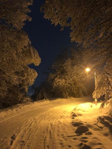 a snow covered street at night with a street light at Mavrovo residence, 5 min walk to ski area in Mavrovo