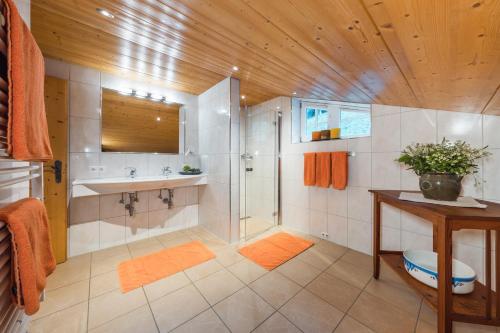 a bathroom with a shower and a sink at Ferienhaus Helga in Sankt Gallenkirch