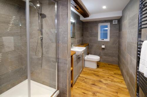 een badkamer met een douche en een toilet bij Skelwith Fold Cottage No.3 in Elterwater