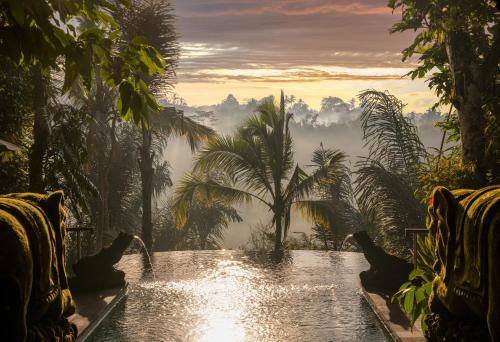 a pool in a jungle with trees and clouds in the background at Sacred Valley by GenuineHost in Tegalalang