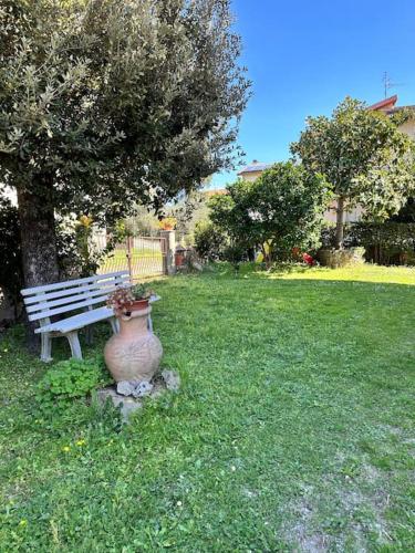 a park bench sitting next to a tree and a vase at Appartamento Albatros in Ribolla