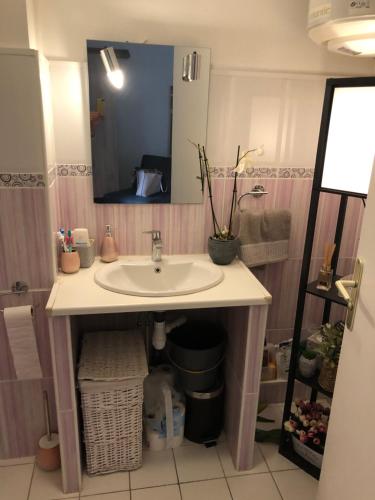 a bathroom with a sink and a mirror at Studio vue Mer in Carry-le-Rouet
