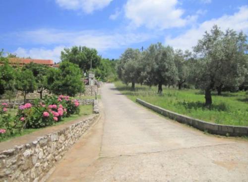 Κήπος έξω από το Kaiti Villa 4