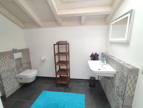 La salle de bains est pourvue de toilettes blanches et d'un lavabo. dans l'établissement Holiday Appartement Markt Rettenbach, 