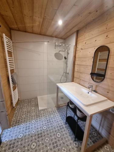 une petite salle de bain avec un lavabo et une douche dans l'établissement Cœur de volcan, à Beaune