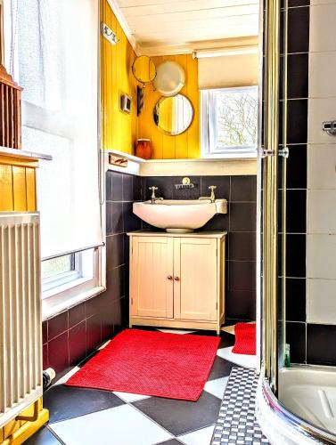 baño con lavabo y alfombra roja en 6 Park Terrace en Glastonbury