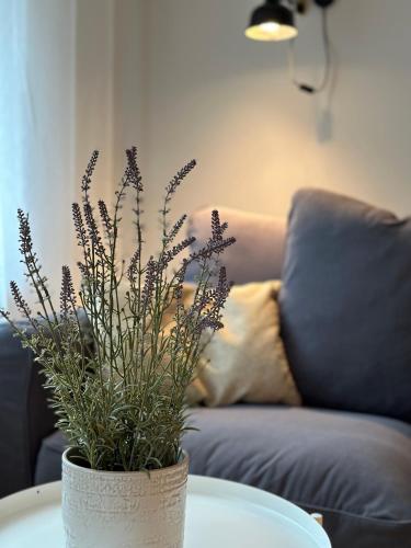 MIA Appartements