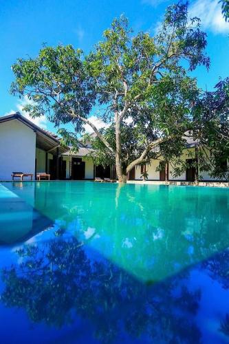 a swimming pool with a tree in front of a house at Stuart House Tangalle in Tangalle