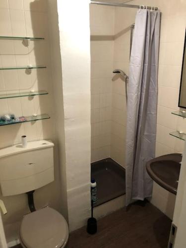 y baño con aseo, lavabo y ducha. en Centrally located apartment Luxembourg en Luxemburgo