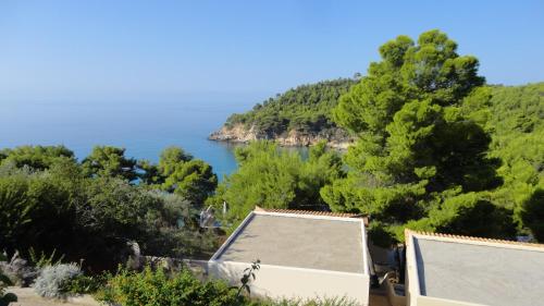 Φωτογραφία από το άλμπουμ του Alonissos Beach Bungalows And Suites Hotel  στην Αλόννησο