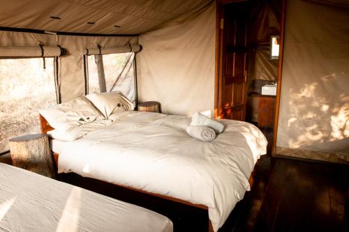 1 dormitorio con 2 camas en una tienda de campaña en Nhoma Safari Camp, en Tsumkwe