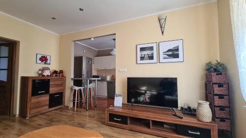 Μια τηλεόραση ή/και κέντρο ψυχαγωγίας στο Apartament Helenka