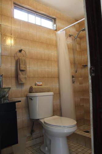 een badkamer met een toilet en een douche bij Marilou Apt A in Levittown
